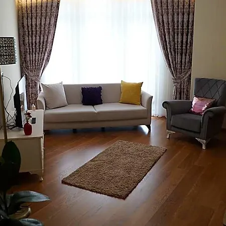 My Palace 3*